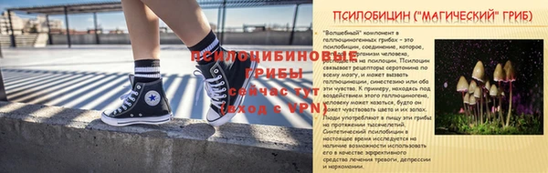 2c-b Алзамай